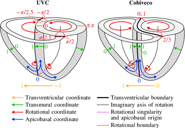 Figure 1 for Cobiveco: Consistent biventricular coordinates for precise and intuitive description of position in the heart -- with MATLAB implementation