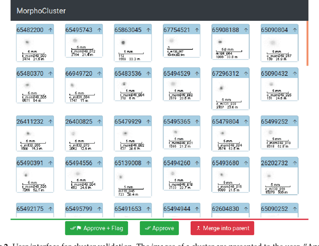 Figure 3 for MorphoCluster: Efficient Annotation of Plankton images by Clustering