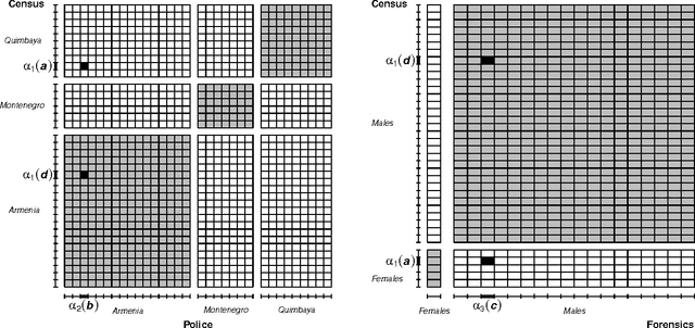Figure 3 for A Generalized Fellegi-Sunter Framework for Multiple Record Linkage With Application to Homicide Record Systems