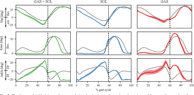 Figure 2 for Investigation on a bipedal robot: Why do humans need both Soleus andGastrocnemius muscles for ankle push-off during walking?