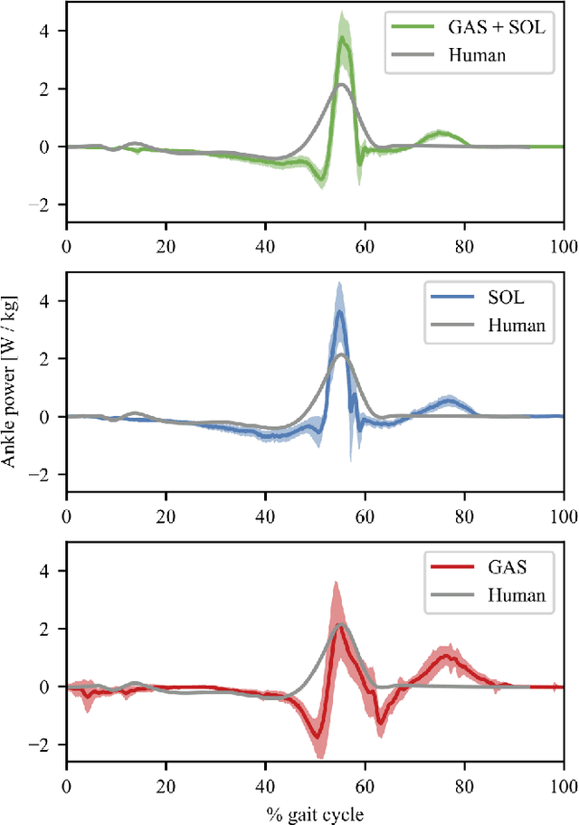 Figure 3 for Investigation on a bipedal robot: Why do humans need both Soleus andGastrocnemius muscles for ankle push-off during walking?