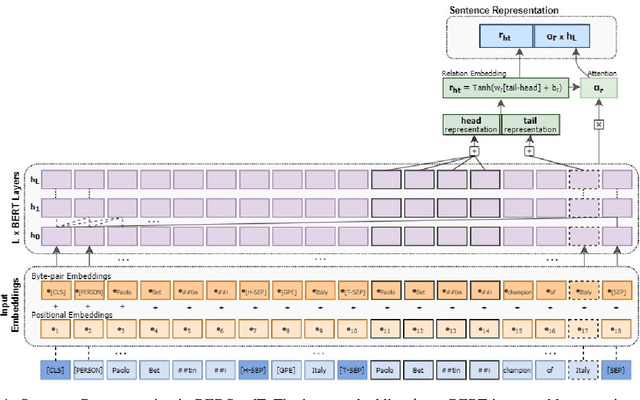 Figure 1 for Improving Distantly-Supervised Relation Extraction through BERT-based Label & Instance Embeddings