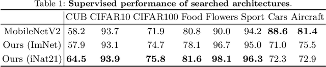 Figure 3 for One Network Doesn't Rule Them All: Moving Beyond Handcrafted Architectures in Self-Supervised Learning
