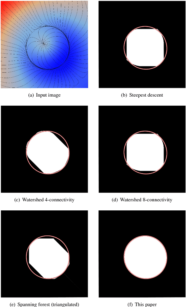 Figure 3 for Combinatorial Gradient Fields for 2D Images with Empirically Convergent Separatrices