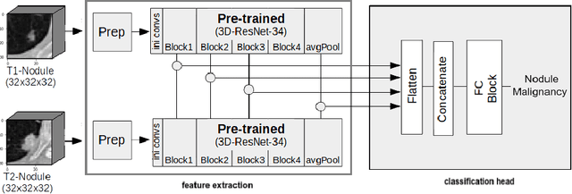 Figure 1 for Pulmonary Nodule Malignancy Classification Using its Temporal Evolution with Two-Stream 3D Convolutional Neural Networks