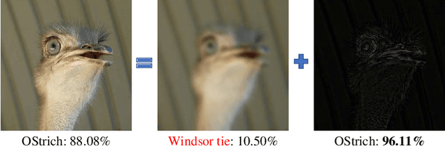 Figure 1 for Practical No-box Adversarial Attacks with Training-free Hybrid Image Transformation