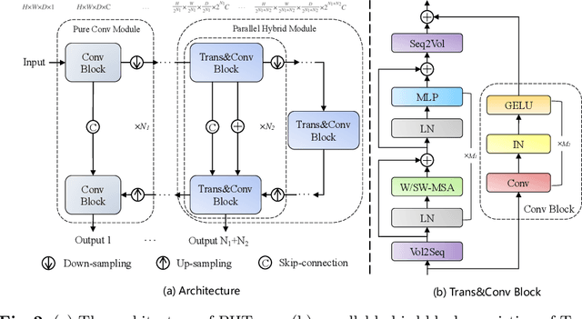 Figure 3 for PHTrans: Parallelly Aggregating Global and Local Representations for Medical Image Segmentation