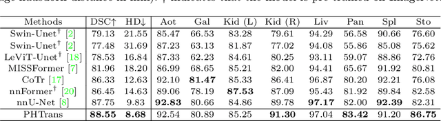 Figure 2 for PHTrans: Parallelly Aggregating Global and Local Representations for Medical Image Segmentation