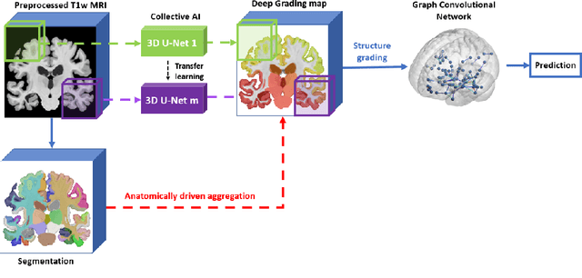 Figure 2 for Towards better Interpretable and Generalizable AD detection using Collective Artificial Intelligence