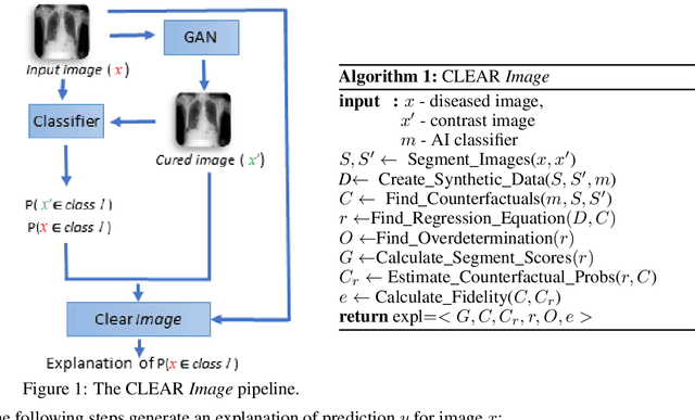 Figure 1 for Contrastive Counterfactual Visual Explanations With Overdetermination