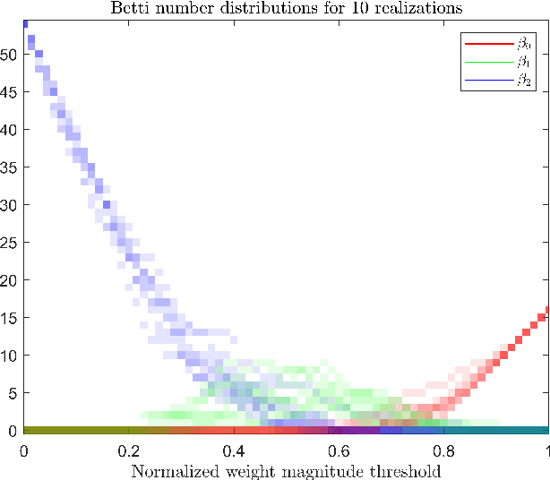 Figure 2 for Path homologies of deep feedforward networks