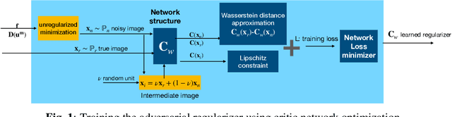 Figure 1 for Regularization by Adversarial Learning for Ultrasound Elasticity Imaging