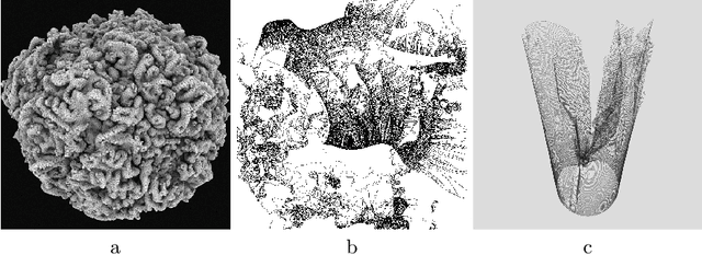 Figure 1 for The Enigma of Complexity