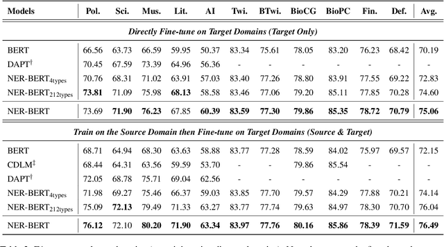 Figure 3 for NER-BERT: A Pre-trained Model for Low-Resource Entity Tagging