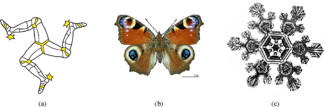 Figure 3 for Negentropic Planar Symmetry Detector