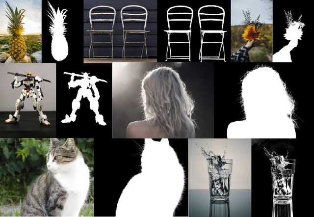 Figure 2 for Deep Automatic Natural Image Matting