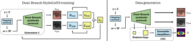 Figure 3 for BiOcularGAN: Bimodal Synthesis and Annotation of Ocular Images