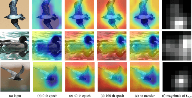 Figure 3 for Variational Information Distillation for Knowledge Transfer