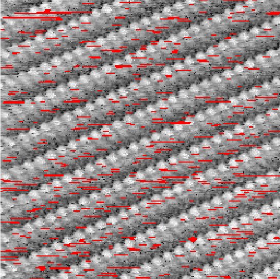 Figure 2 for Restoring STM images via Sparse Coding: noise and artifact removal