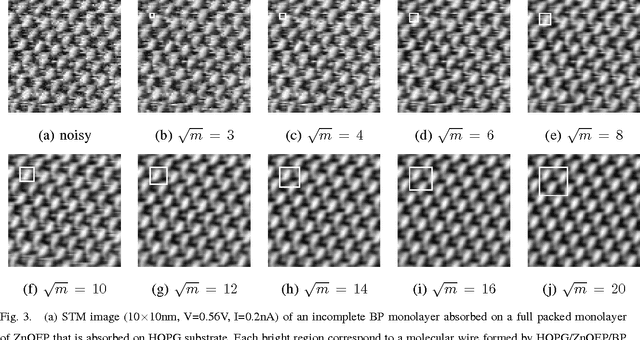 Figure 3 for Restoring STM images via Sparse Coding: noise and artifact removal