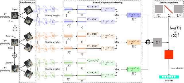 Figure 2 for Multi-Granularity Canonical Appearance Pooling for Remote Sensing Scene Classification