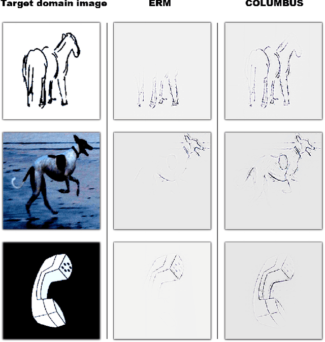 Figure 1 for COLUMBUS: Automated Discovery of New Multi-Level Features for Domain Generalization via Knowledge Corruption