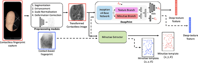 Figure 4 for C2CL: Contact to Contactless Fingerprint Matching