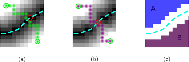 Figure 1 for Enforcing connectivity of 3D linear structures using their 2D projections