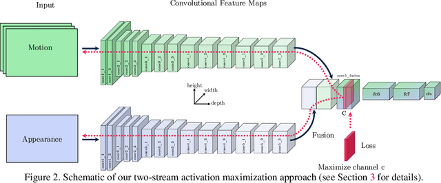 Figure 2 for What have we learned from deep representations for action recognition?