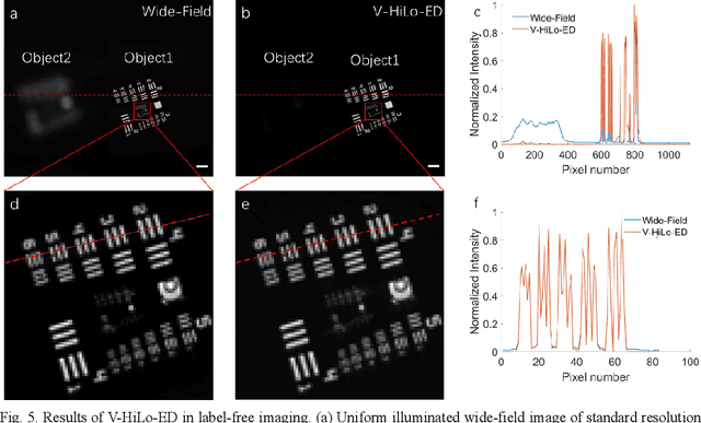 Figure 4 for Single-shot wide-field optical section imaging