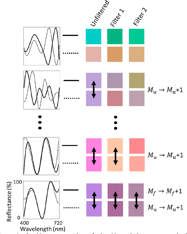 Figure 4 for Enhancing human color vision by breaking binocular redundancy