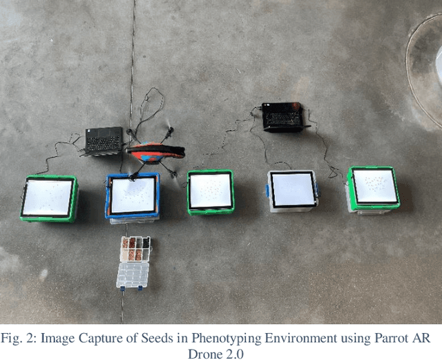 Figure 3 for Seed Classification using Synthetic Image Datasets Generated from Low-Altitude UAV Imagery