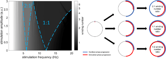 Figure 1 for Embedding digital chronotherapy into medical devices -- A canine case study in controlling status epilepticus through multi-scale rhythmic brain stimulation