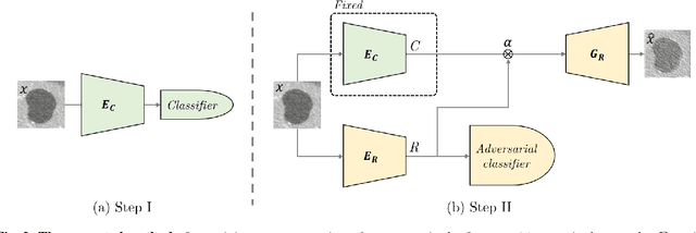 Figure 3 for Improving CNN Training using Disentanglement for Liver Lesion Classification in CT