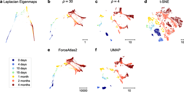 Figure 3 for A Unifying Perspective on Neighbor Embeddings along the Attraction-Repulsion Spectrum