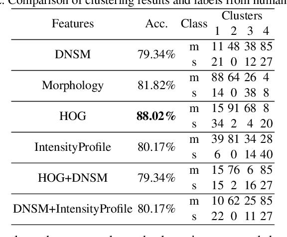 Figure 3 for Dendritic Spine Shape Analysis: A Clustering Perspective