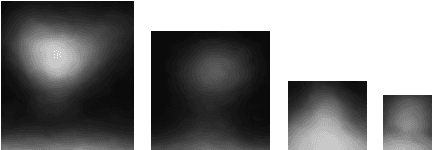 Figure 4 for Dendritic Spine Shape Analysis: A Clustering Perspective