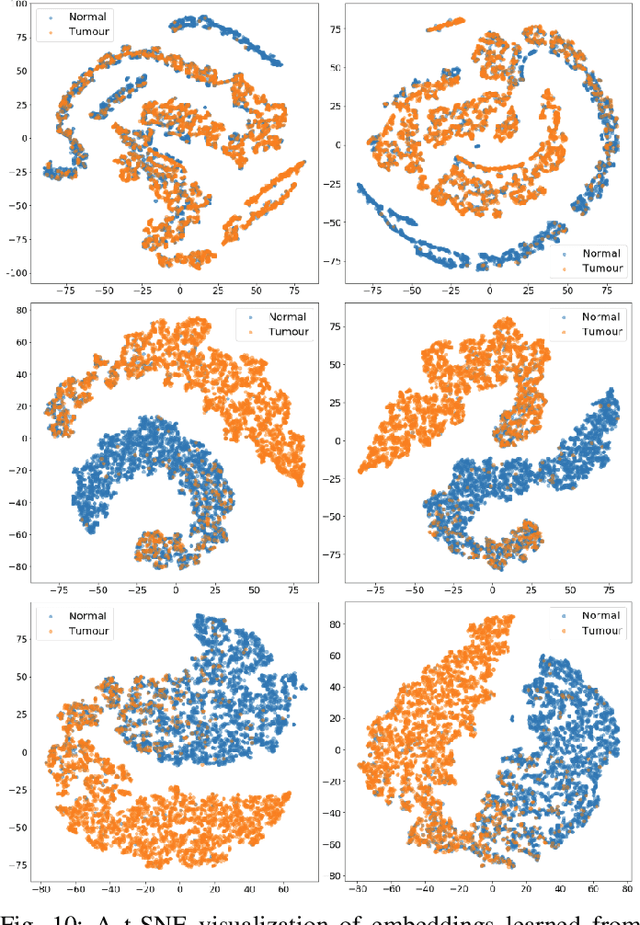 Figure 2 for Magnification-independent Histopathological Image Classification with Similarity-based Multi-scale Embeddings