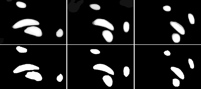 Figure 3 for A small note on variation in segmentation annotations
