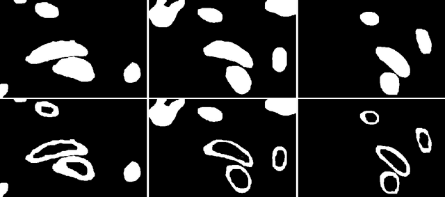 Figure 4 for A small note on variation in segmentation annotations