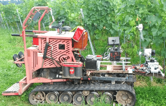 Figure 2 for In-field high throughput grapevine phenotyping with a consumer-grade depth camera