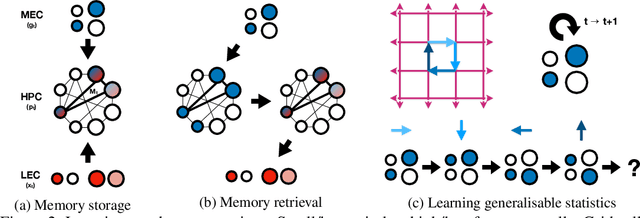 Figure 2 for Generalisation of structural knowledge in the hippocampal-entorhinal system