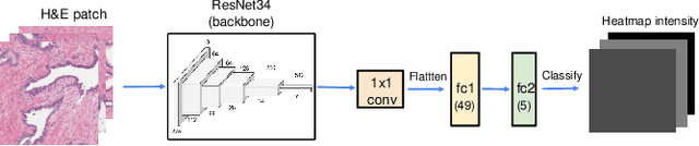 Figure 3 for Visual attention analysis of pathologists examining whole slide images of Prostate cancer