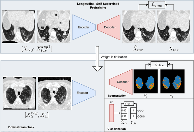 Figure 1 for Longitudinal Self-Supervision for COVID-19 Pathology Quantification