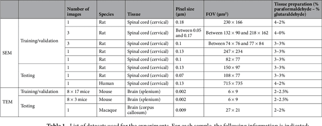 Figure 2 for AxonDeepSeg: automatic axon and myelin segmentation from microscopy data using convolutional neural networks