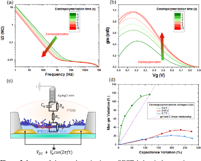 Figure 3 for Bio-inspired adaptive sensing through electropolymerization of organic electrochemical transistors