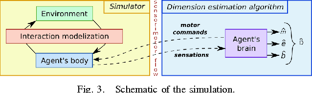 Figure 3 for A Non-linear Approach to Space Dimension Perception by a Naive Agent