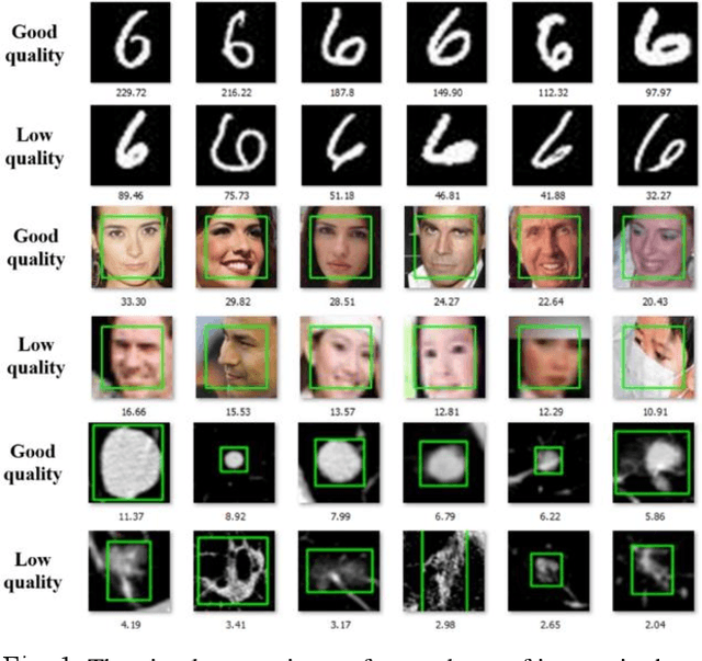 Figure 1 for Contraction Mapping of Feature Norms for Classifier Learning on the Data with Different Quality