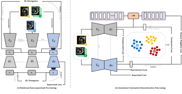 Figure 3 for Mine yOur owN Anatomy: Revisiting Medical Image Segmentation with Extremely Limited Labels