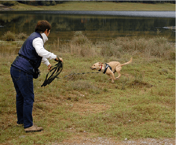 Figure 4 for The MeMAD Submission to the WMT18 Multimodal Translation Task